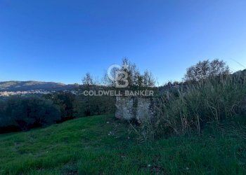 Terreno agricolo S.S. Tirrena Inferiore, Ogliastro Cilento - foto 27