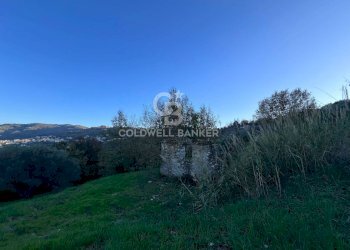 Terreno agricolo S.S. Tirrena Inferiore, Ogliastro Cilento - foto 28