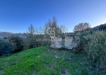 Terreno agricolo S.S. Tirrena Inferiore, Ogliastro Cilento - foto 29