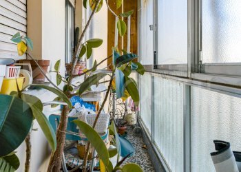 veranda - Appartamento Viale Fabbricotti, Livorno - foto 24