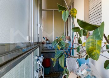 veranda - Appartamento Viale Fabbricotti, Livorno - foto 25