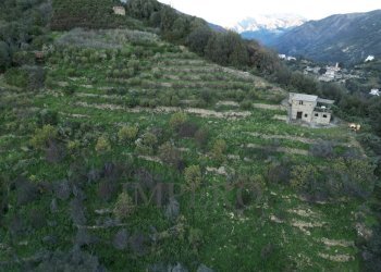 drone - Terreno agricolo Via delle Otto Case 94, Ventimiglia - foto 2