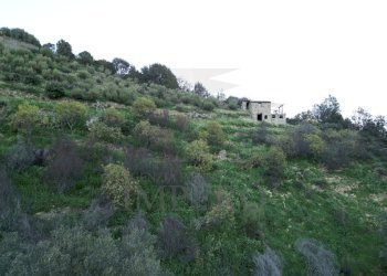 drone - Terreno agricolo Via delle Otto Case 94, Ventimiglia - foto 3