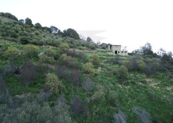 drone - Terreno agricolo Via delle Otto Case 94, Ventimiglia - foto 4