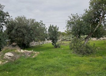 19.jpg - Villa Contrada San Giovanni Lo Pirato 122, Scicli - foto 9