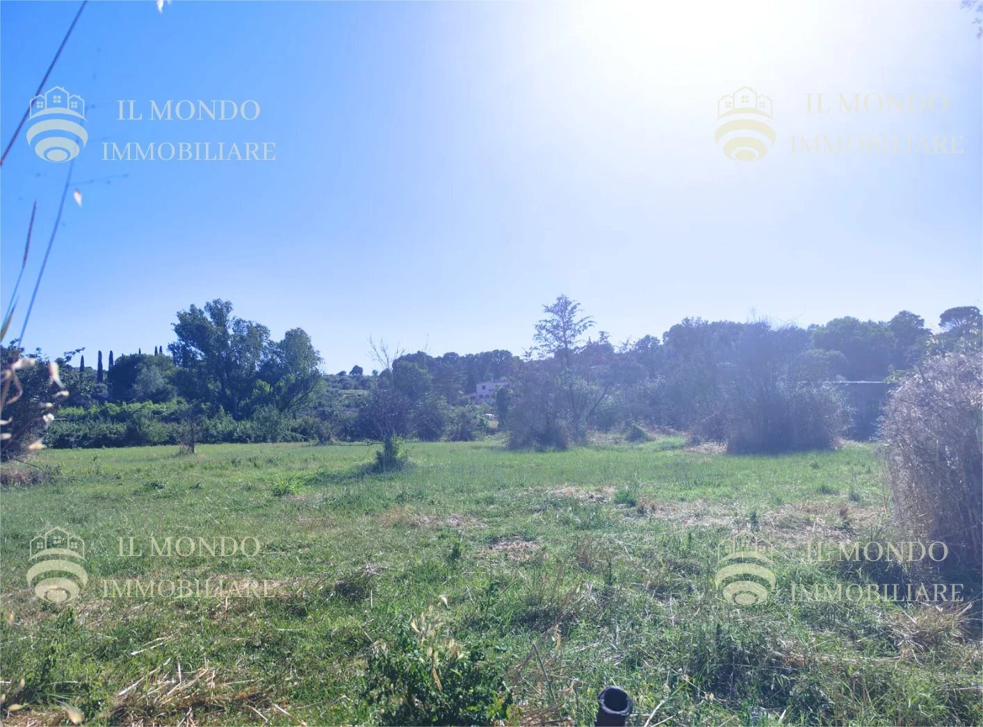 Terreno agricolo Località Albanetta, Palombara Sabina - foto 1