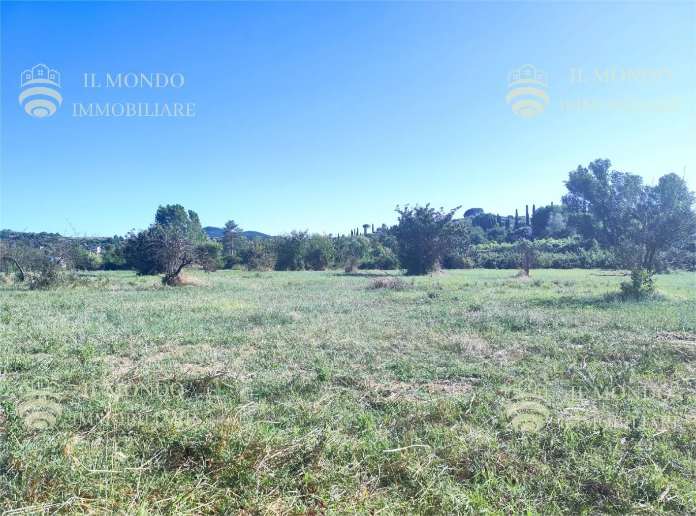 Terreno agricolo Località Albanetta, Palombara Sabina - foto 3