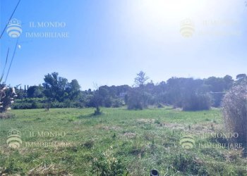 Terreno agricolo Località Albanetta, Palombara Sabina - foto 1