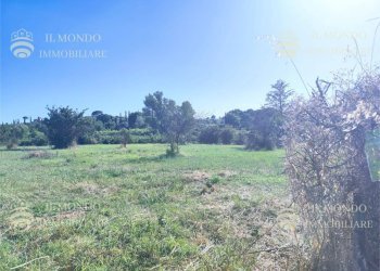 Terreno agricolo Località Albanetta, Palombara Sabina - foto 2