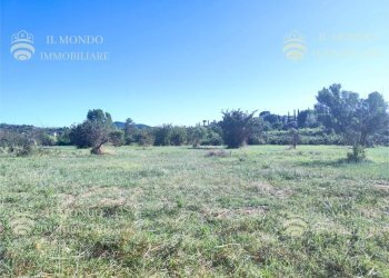Terreno agricolo Località Albanetta, Palombara Sabina - foto 3