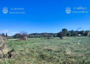 Terreno agricolo Località Albanetta, Palombara Sabina - foto 4