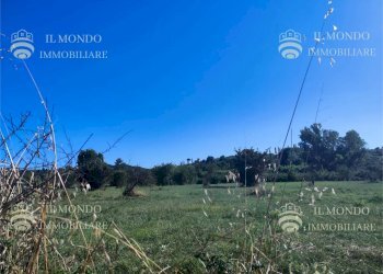 Terreno agricolo Località Albanetta, Palombara Sabina - foto 5