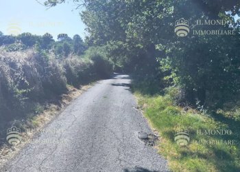 Terreno agricolo Località Albanetta, Palombara Sabina - foto 6