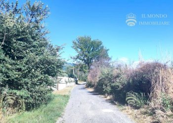 Terreno agricolo Località Albanetta, Palombara Sabina - foto 7