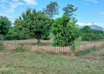 Terreno agricolo Via Vittoria Nenni, Rivalta di Torino - foto 11