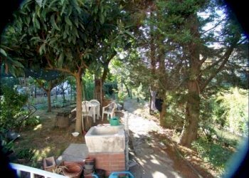 GIARDINO - Terratetto - Terracielo Fosdinovo - foto 2