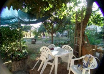 GIARDINO - Terratetto - Terracielo Fosdinovo - foto 3