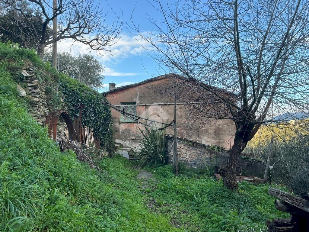 Rustic civile abitazione Salita San Bernardo, Lavagna - photo 2