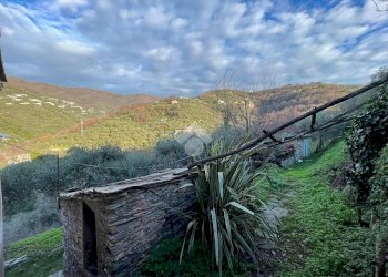Rustic civile abitazione Salita San Bernardo, Lavagna - photo 6