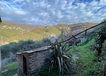 Rustic civile abitazione Salita San Bernardo, Lavagna - photo 5