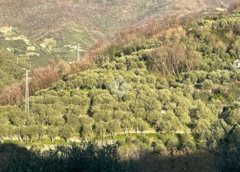 Rustic civile abitazione Salita San Bernardo, Lavagna - photo 23