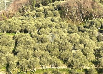 Rustic civile abitazione Salita San Bernardo, Lavagna - photo 22