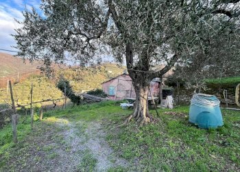 Rustic civile abitazione Salita San Bernardo, Lavagna - photo 21