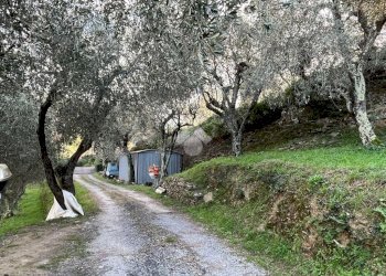 Rustic civile abitazione Salita San Bernardo, Lavagna - photo 10