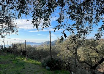 Rustic civile abitazione Salita San Bernardo, Lavagna - photo 25
