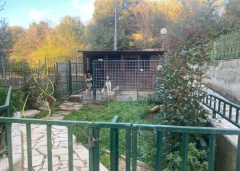 Apartment Via Dei Maceristi, San Nicandro Garganico - photo 27