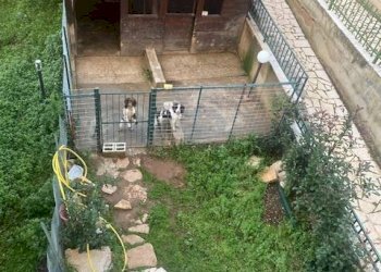 Apartment Via Dei Maceristi, San Nicandro Garganico - photo 28