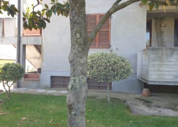 20220522_112025.jpg - Porzione di casa MONTECAMPANO, Amelia - foto 9