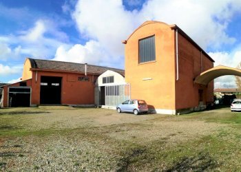 IMG_20181107_104808.jpg - Capannone Pezzana - foto 1