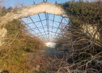 Terreno edificabile Via Lorenzo Perosi, Corbetta - foto 18