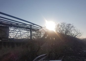 Terreno edificabile Via Lorenzo Perosi, Corbetta - foto 19