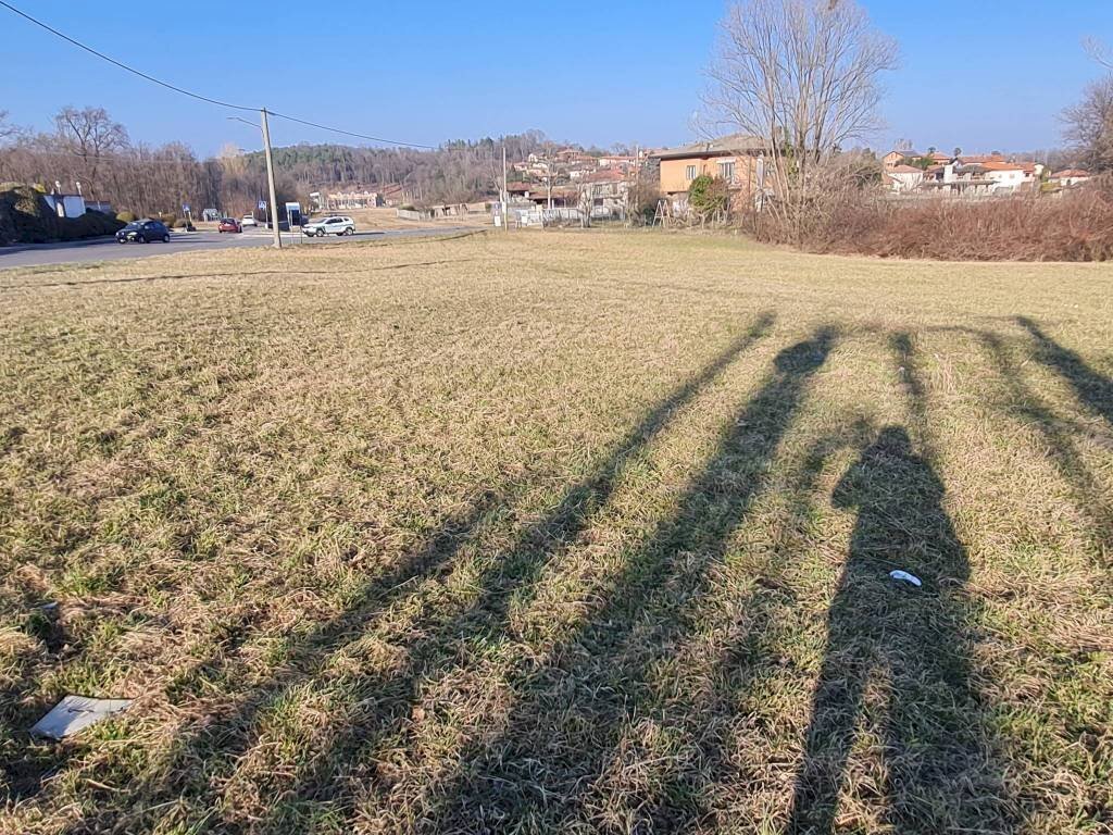 3 - Terreno agricolo via Galliani, 2, Casale Litta - foto 3