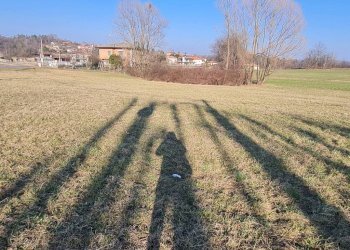 4 - Terreno agricolo via Galliani, 2, Casale Litta - foto 4