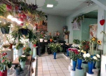 Commercial Activity via Montello, 10, Buguggiate - photo 4