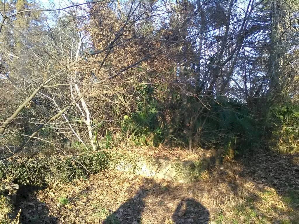 Building land via per Domo, 10, Porto Valtravaglia - photo 1