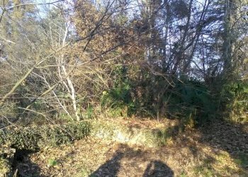 Terreno edificabile via per Domo, 10, Porto Valtravaglia - foto 1