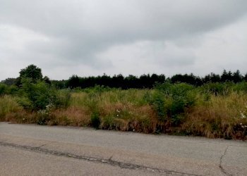 terreno - Terreno edificabile via Lega Figli del Lavoro, Sumirago - foto 1