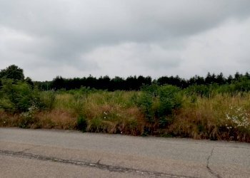 terreno - Terreno edificabile via Lega Figli del Lavoro, Sumirago - foto 2