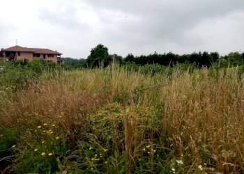 terreno - Terreno edificabile via Lega Figli del Lavoro, Sumirago - foto 3