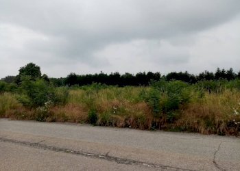 terreno - Terreno edificabile via Lega Figli del Lavoro, Sumirago - foto 3