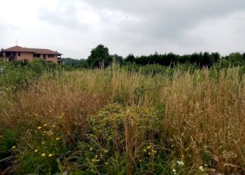 terreno - Terreno edificabile via Lega Figli del Lavoro, Sumirago - foto 5