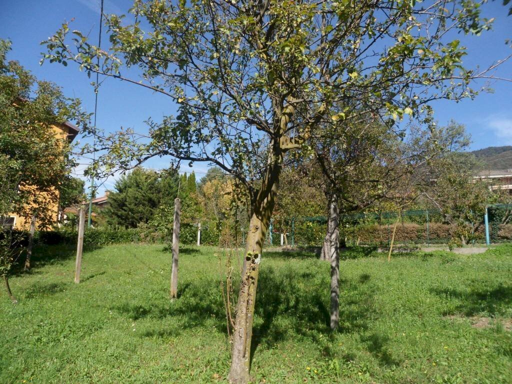 Building land via per Domo, Porto Valtravaglia - photo 2