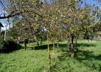 Terreno edificabile via per Domo, Porto Valtravaglia - foto 1