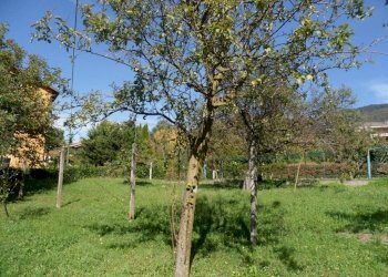Terreno edificabile via per Domo, Porto Valtravaglia - foto 2
