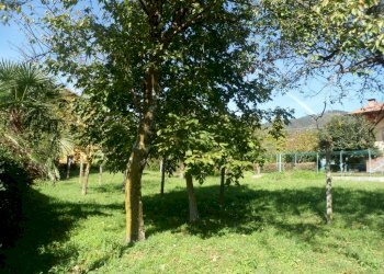 Terreno edificabile via per Domo, Porto Valtravaglia - foto 4