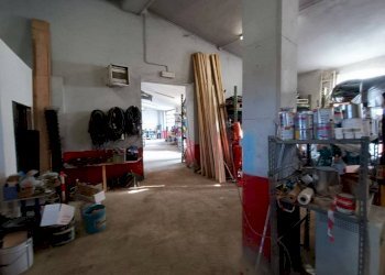 Capannone Mondovì - foto 4